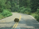 PICTURES/Overlooks/t_Rock on road.JPG